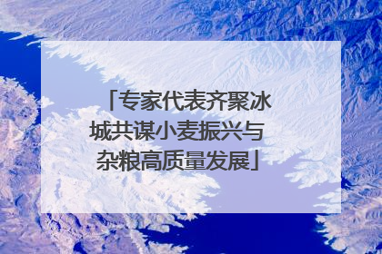 专家代表齐聚冰城共谋小麦振兴与杂粮高质量发展